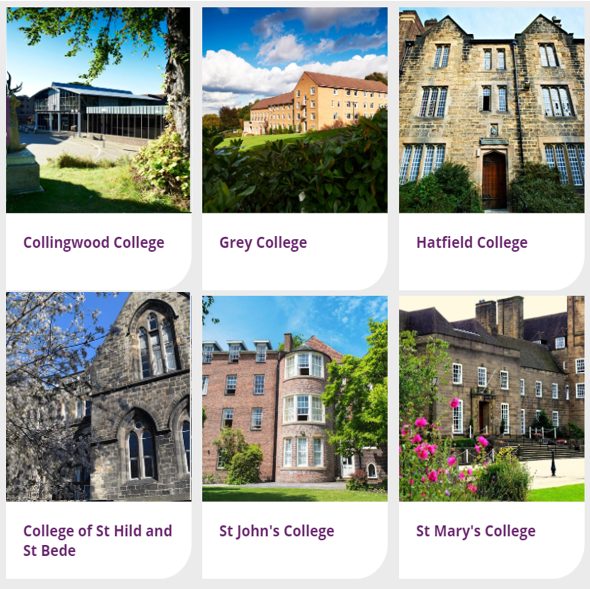17 所自治日韩无码
（一）：Collingwood、Grey、Hatfield、St Hild & St Bede、St John's、St Mary's