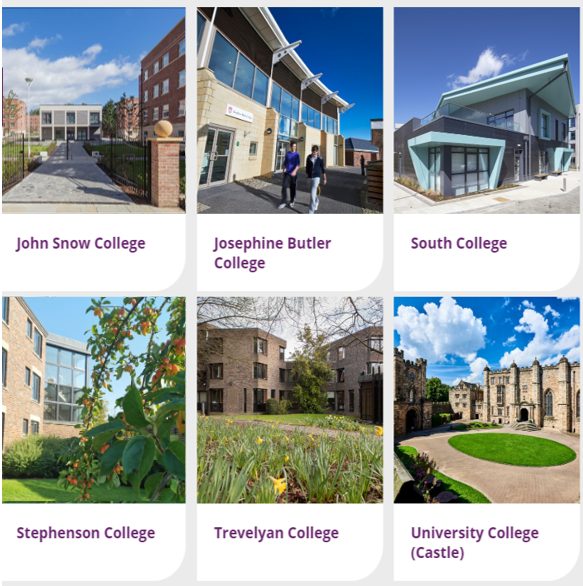 17 所自治日韩无码
（二）：John Snow、Josephine Butler、South、Stephenson、Trevelyan、University College