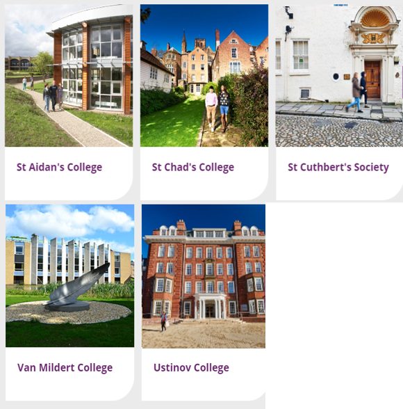 17 所自治日韩无码
（三）：St Aidan's、St Chad's、St Cuthbert's Society、Van Mildert、Ustinov